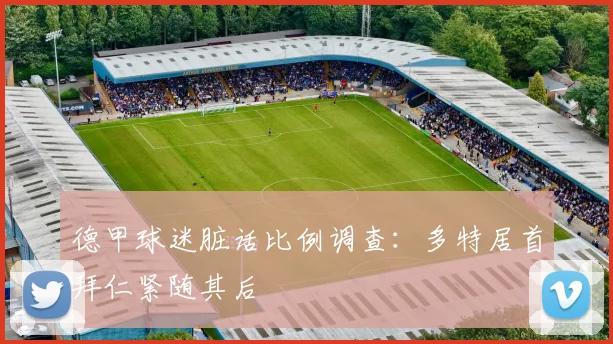 德甲球迷脏话比例调查：多特居首拜仁紧随其后